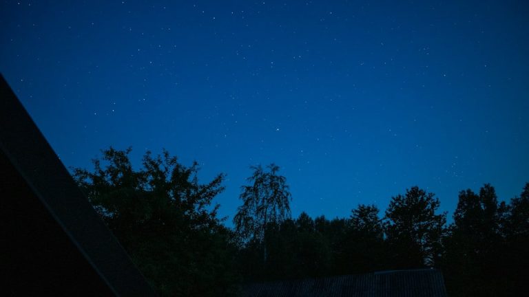 Füüsilise aktiivsuse tähtsus